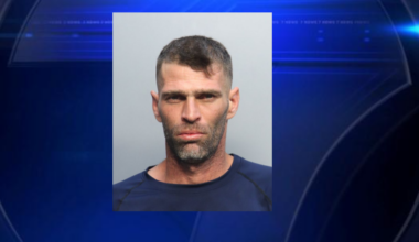Man arrested after deputies find 142 stolen avocados at Miami-Dade grove - WSVN 7News | Miami News, Weather, Sports