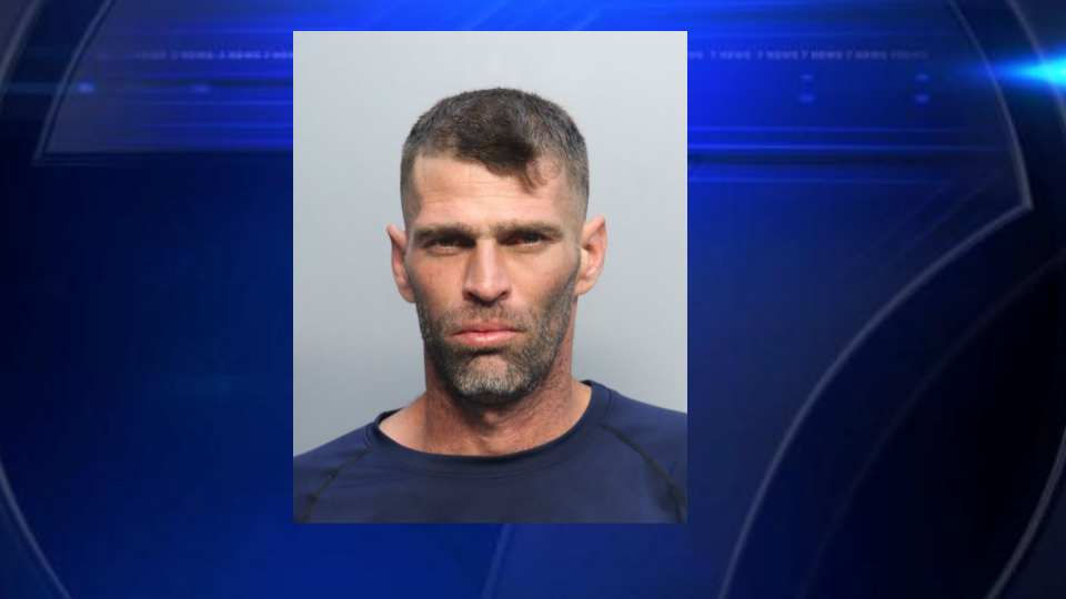Man arrested after deputies find 142 stolen avocados at Miami-Dade grove - WSVN 7News | Miami News, Weather, Sports