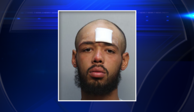Man accused of following woman from Miami club before sexually assaulting her in mailroom - WSVN 7News | Miami News, Weather, Sports