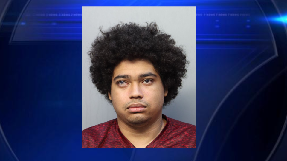 21-year-old faces 15 counts after child sexual abuse material investigation - WSVN 7News | Miami News, Weather, Sports