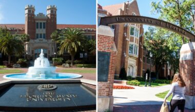 Early decision comes to UF and Florida State University – NBC 6 South Florida