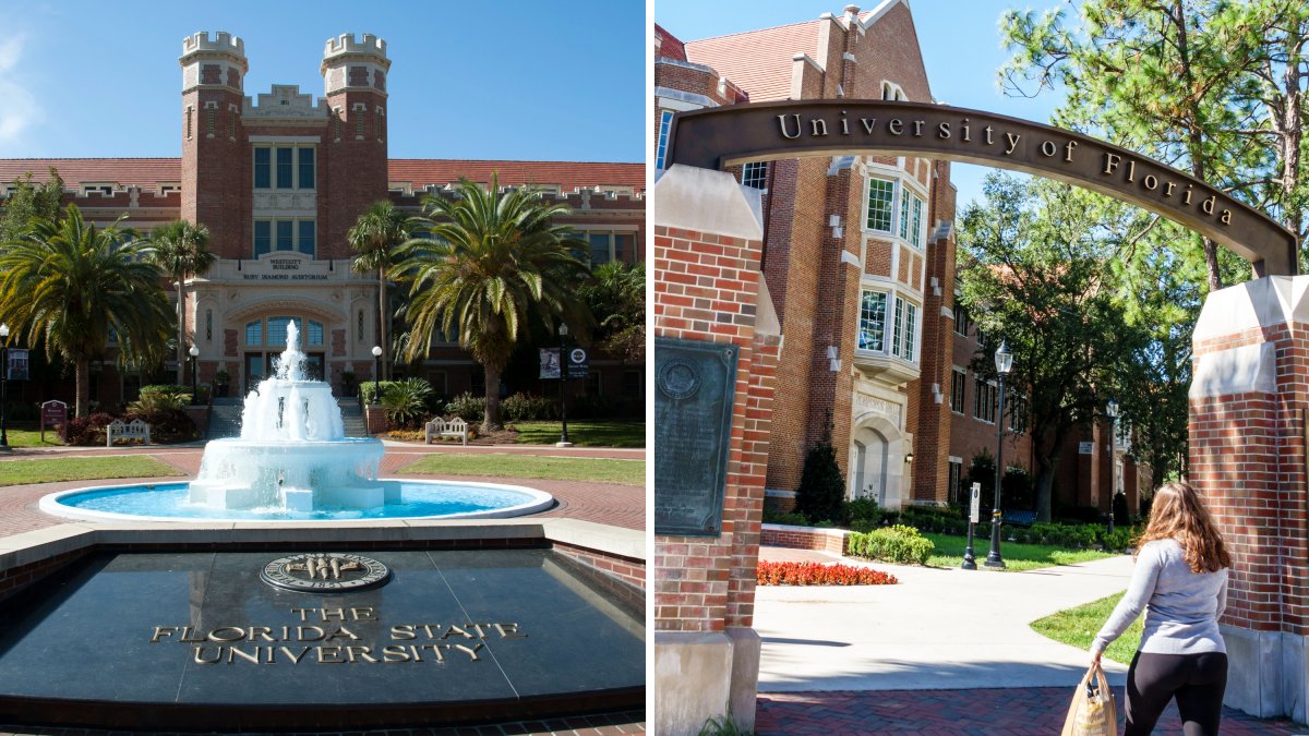 Early decision comes to UF and Florida State University – NBC 6 South Florida