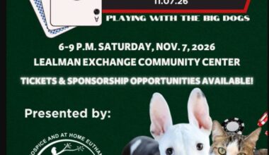 Friends of Strays - Catsino Night: Playing with the Big Dogs