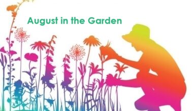 Are you a Central Florida gardener? Here’s your August to-do list