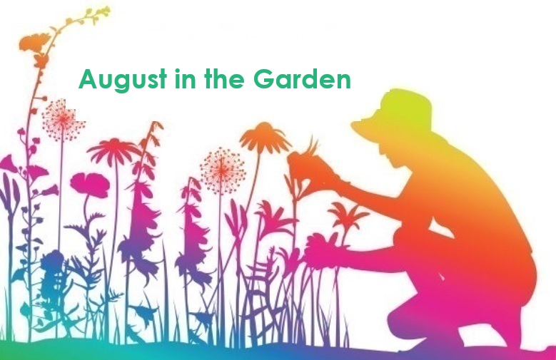 Are you a Central Florida gardener? Here’s your August to-do list