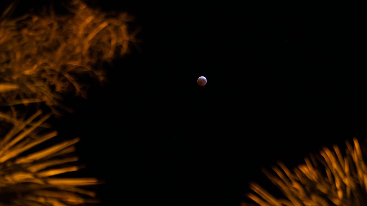 Near-total lunar eclipse peaks after midnight over South Florida – NBC 6 South Florida