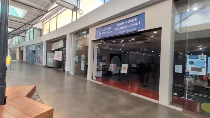 Nonprofit wants to give rescued dogs a home at Oviedo Mall