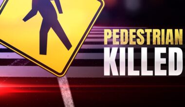 Pedestrian killed, another hurt in Hillsborough County crash