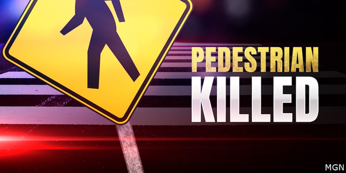 Pedestrian killed, another hurt in Hillsborough County crash