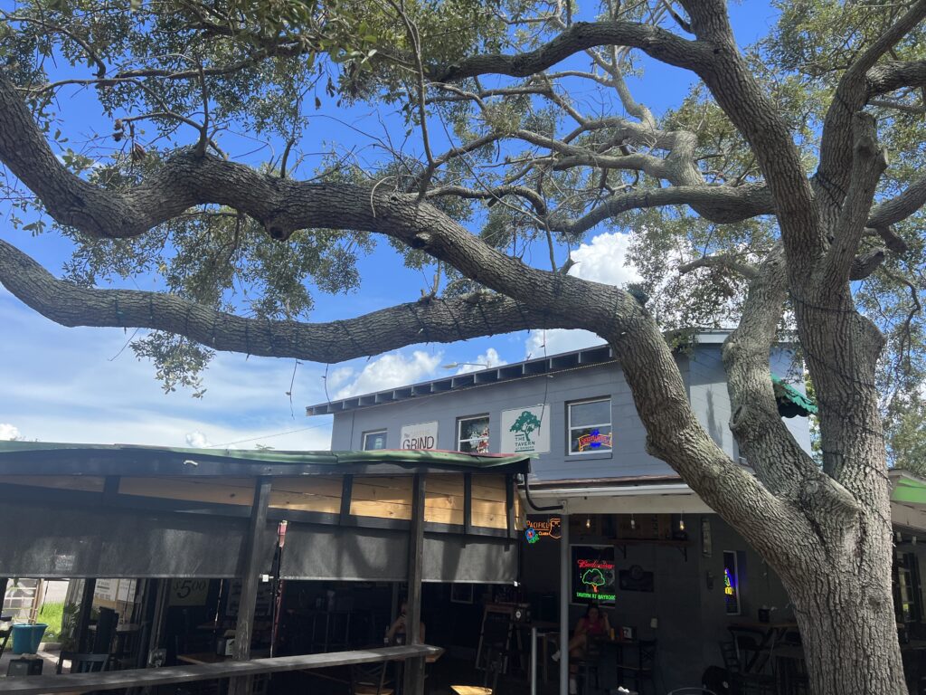 building with a tree in front