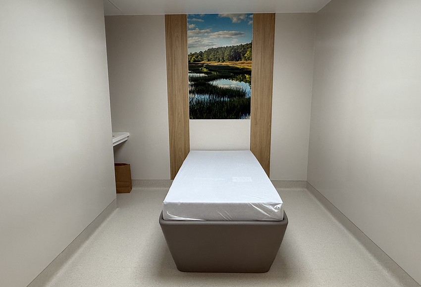 Orlando Health Dr. P. Phillips opens behavioral health unit