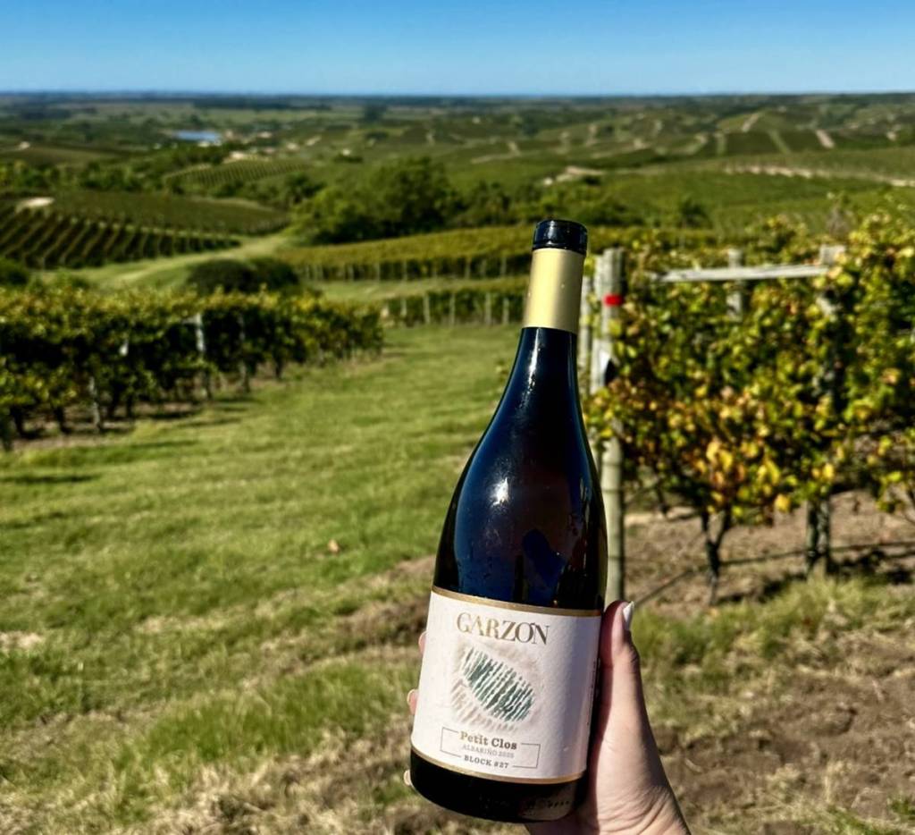 Bodega Garzón wine