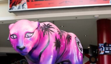 Florida Panthers Schedule: Team Announces 2026-27 Theme Nights