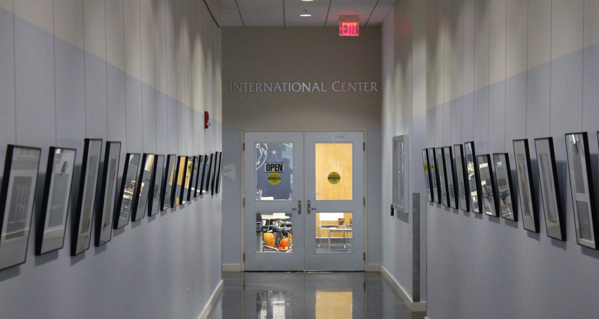 UNF international students face new insurance mandates amidst soaring university costs