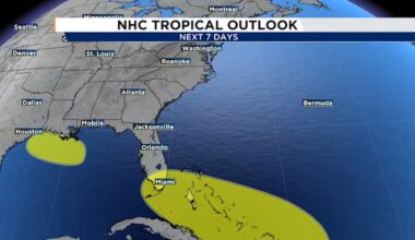 Tracking the Tropics: remnants of Dolly could affect the Florida Atlantic coastline