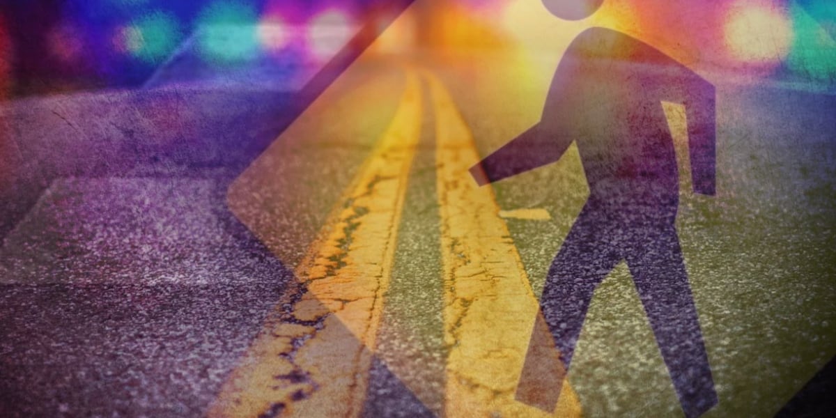 New details emerge in deadly pedestrian crash involving Leon County Sheriff’s Office vehicle