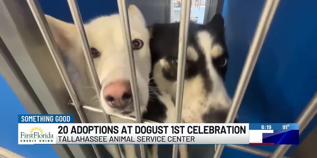 Something Good: 20 adoptions at Dogust 1st celebration