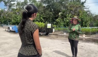 Martin County community rallies to restore mangrove island on St. Lucie River