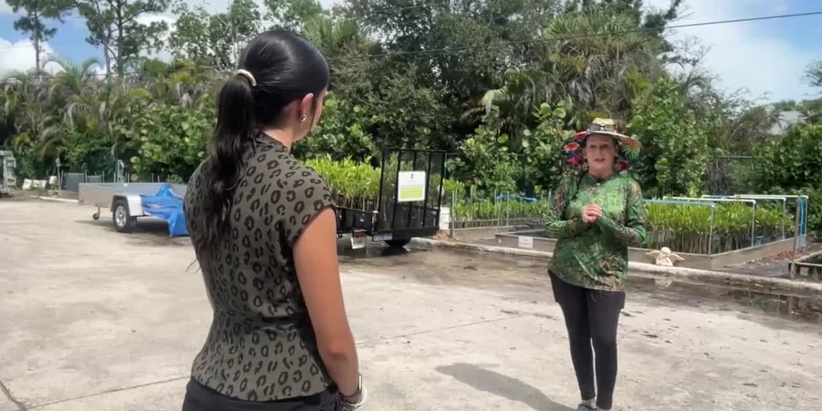 Martin County community rallies to restore mangrove island on St. Lucie River
