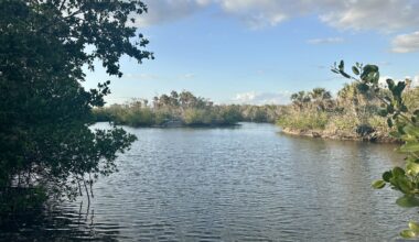 A park for ‘lovers’ - Florida Weekly