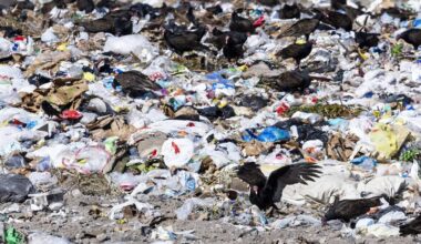 Strategies to cut Miami-Dade landfill trash