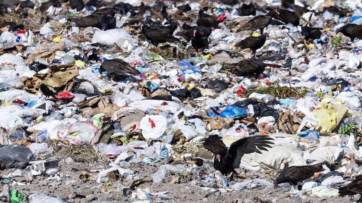 Strategies to cut Miami-Dade landfill trash
