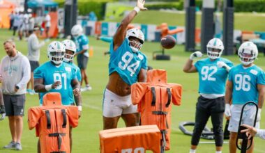 Can the Dolphins young defensive tackles deliver this season?
