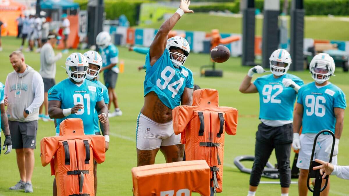 Can the Dolphins young defensive tackles deliver this season?