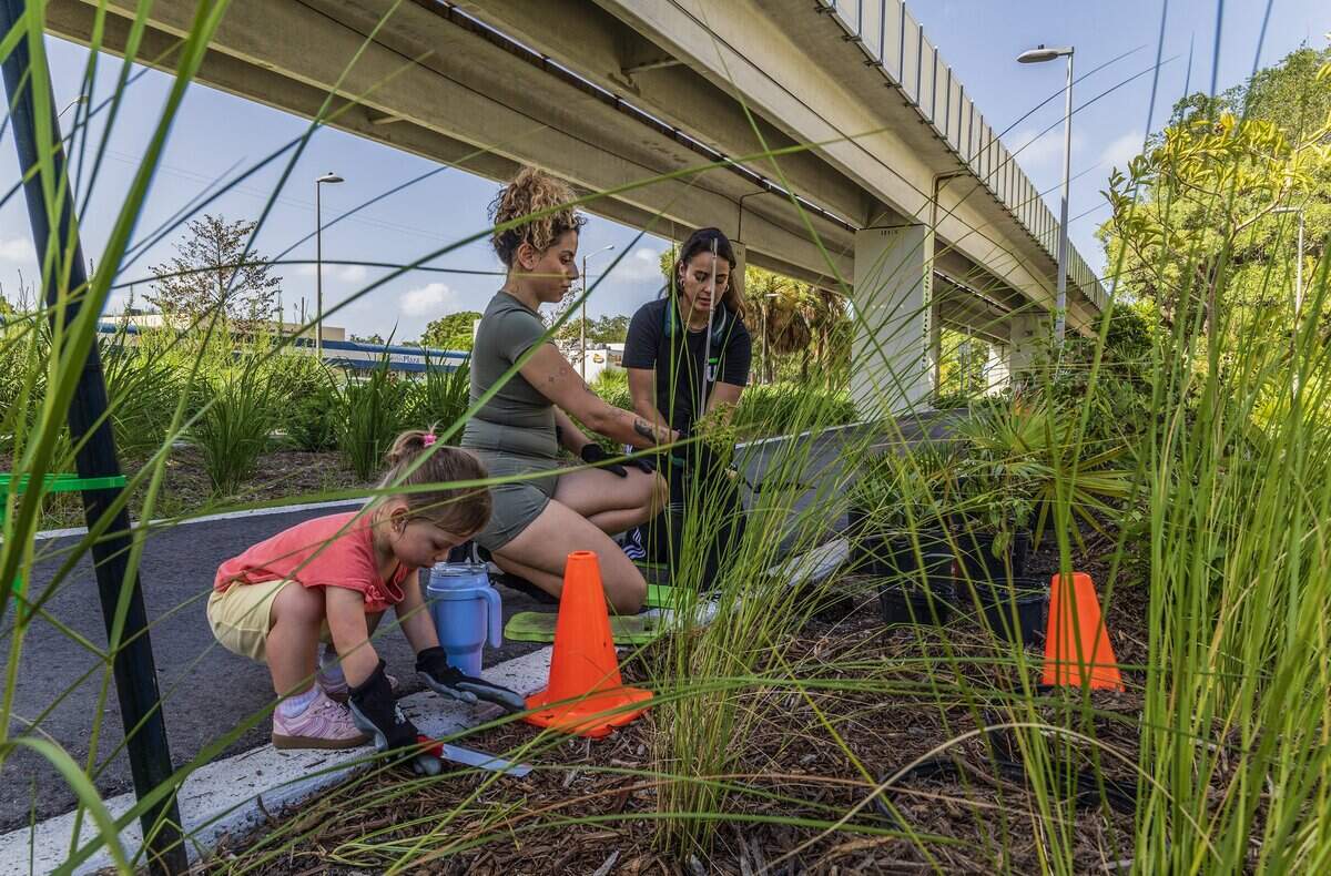 Isabel Silva, community coordinator with The Underline helps Maria José Collazos and her daughter Celeste Fernandez 2 y.o, to plant a tree on a micro forest next to the Underline, during the Nikki Spoelstra Play Forest Grand Opening ceremony, in South Miami's section of The Underline, sponsored by Mrs. Spoelstra, on Saturday August 15, 2026.