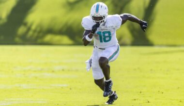 Dolphins WR Chris Bell makes NFL debut after ACL tear