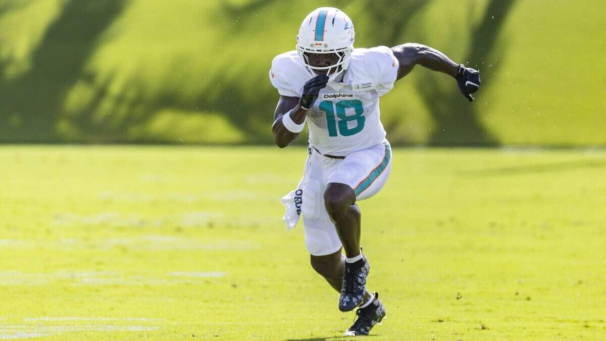 Dolphins WR Chris Bell makes NFL debut after ACL tear