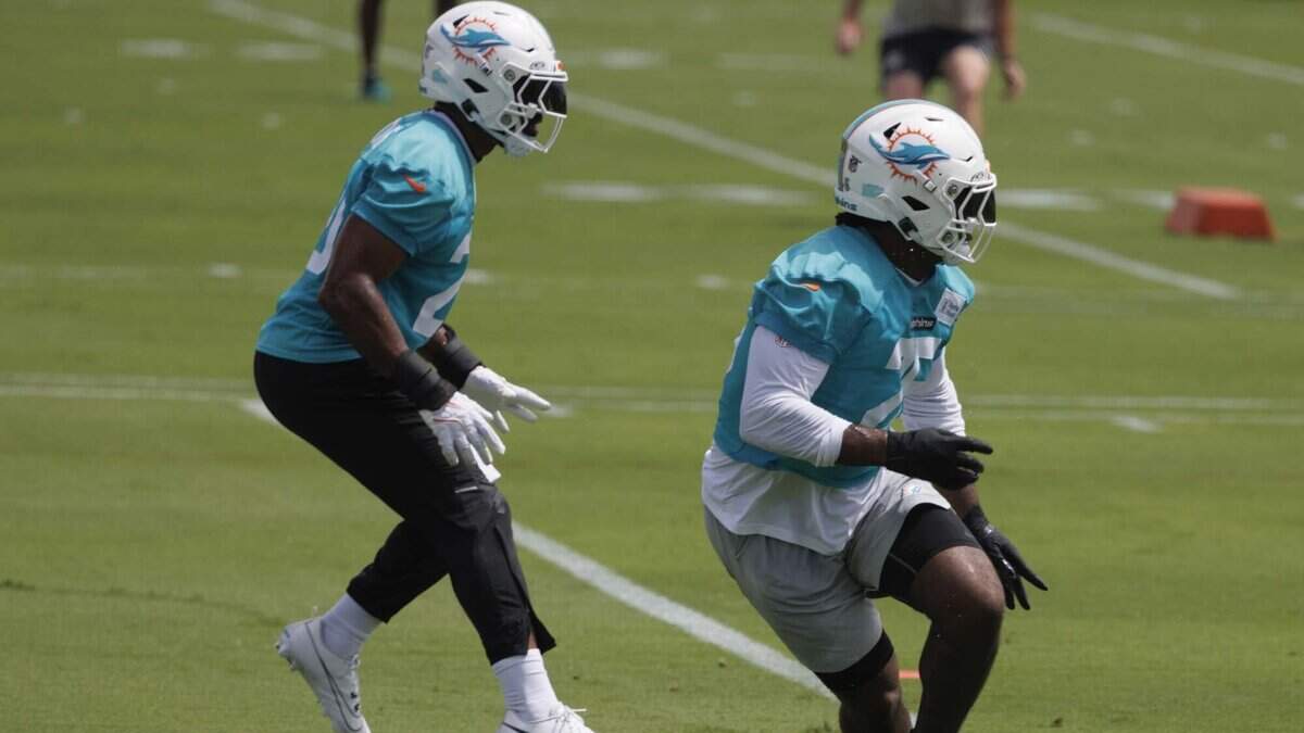 Two Dolphins linebackers had a heavy workout against Commanders