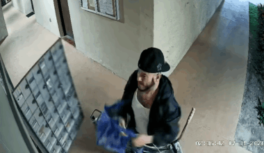 Video captures man stealing mail at apartment complex in West Miami-Dade – NBC 6 South Florida