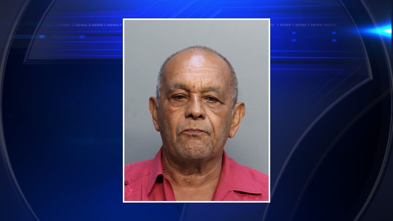 Driver accused of nearly hitting officer with car while fleeing traffic stop in Miami - WSVN 7News | Miami News, Weather, Sports