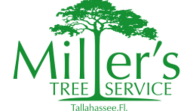 Miller's Tree Service Offers Professional Tree Care Helping Tallahassee Property Owners Protect Their Landscapes Year-Round