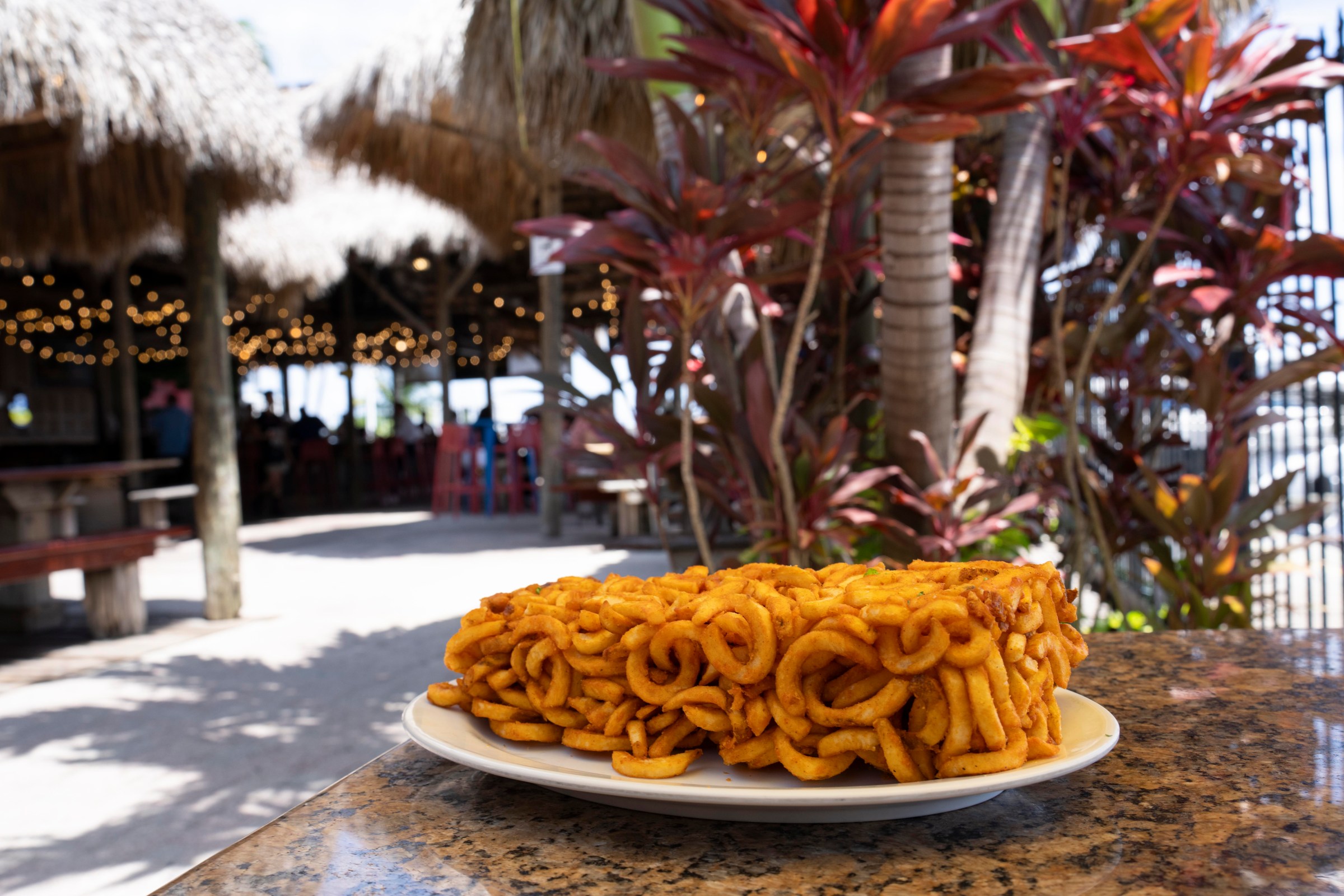Curly fries on a plate, on an outdoor bar table.