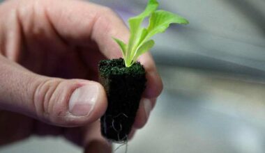 Gardening is not illegal in Jacksonville
