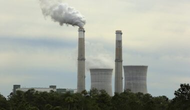 Guest Commentary: Central Florida shouldn’t foot the bill for aging coal plant – Orlando Sentinel