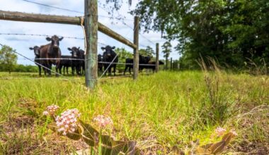 North Central Florida landowners urged to apply for conservation aid