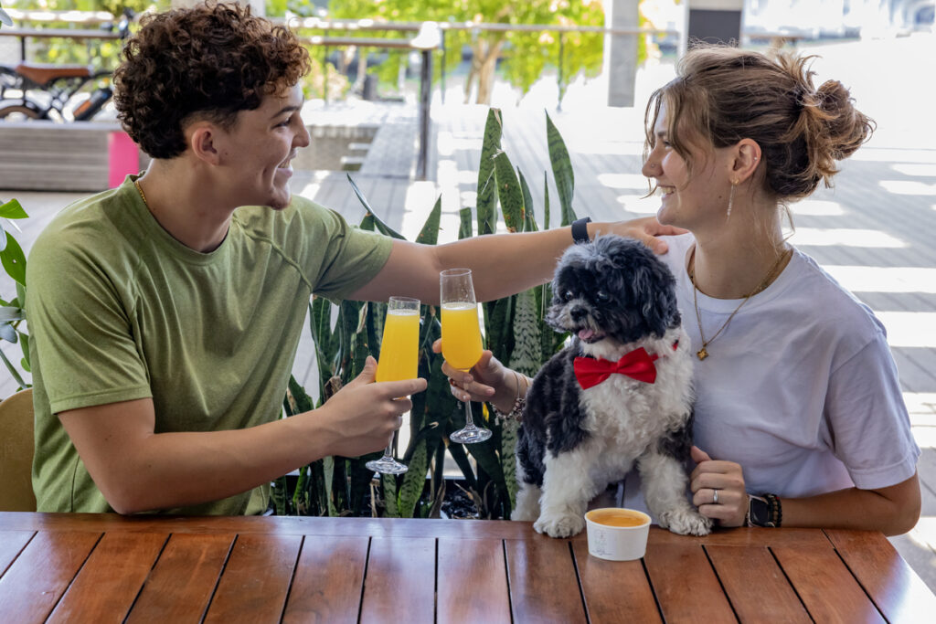 Verde dog-friendly dining