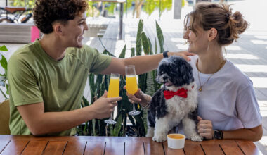 10 best dog-friendly restaurants in Miami