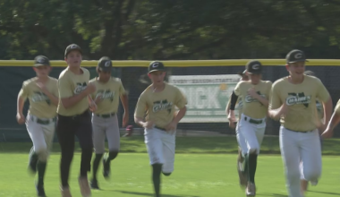 Chaires’ quest for Little League World Series comes up short