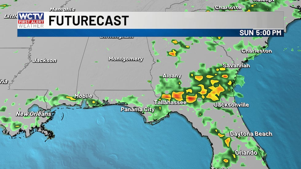 Scattered afternoon showers and storms.