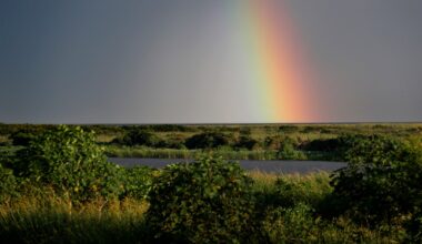 Florida shows climate resilience does not have to be partisan