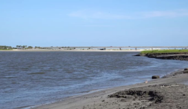 Planning to hit the water this weekend? Be cautious. Duval red tide alerts highlight Fort George, Kingsley area