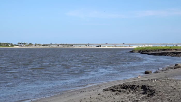 Planning to hit the water this weekend? Be cautious. Duval red tide alerts highlight Fort George, Kingsley area