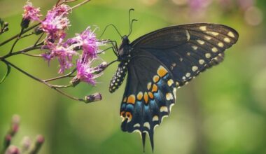 Five ways to give back and get involved in your community