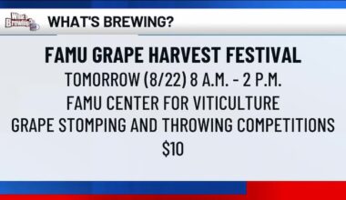 What’s Brewing - FAMU Grape Harvest Festival