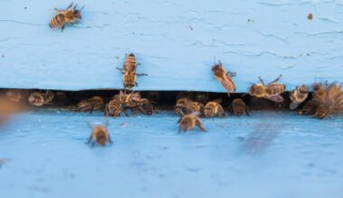 Pollinator parties bring science and community together across North Central Florida