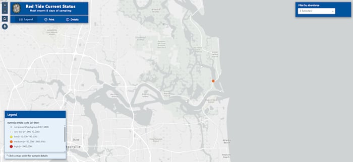 Rare red tide bloom in Jacksonville waterway raises concerns about beach safety and marine life